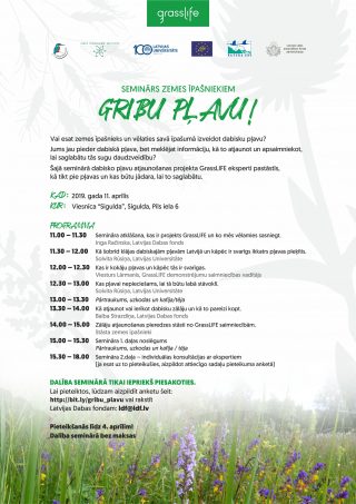 LDF_Gribu_plavu_programma