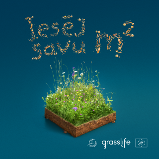 LDF_seeklas_posts_1080x1080