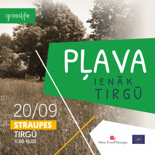 PlavaIenakTirgu_Instagram