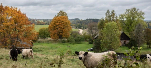 Dabiskās pļavas nevar pastāvēt bez cilvēkiem.